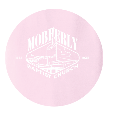 Comfort Colors® Heavyweight Ring Spun Tee - ADULT