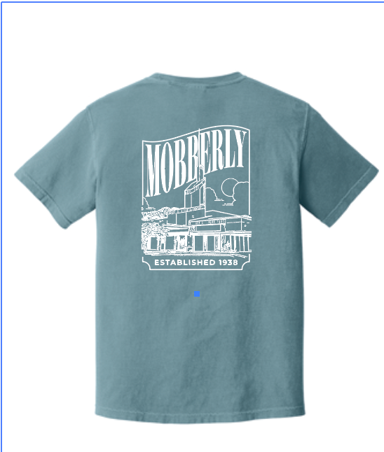 Comfort Colors® Heavyweight Ring Spun Tee - ADULT