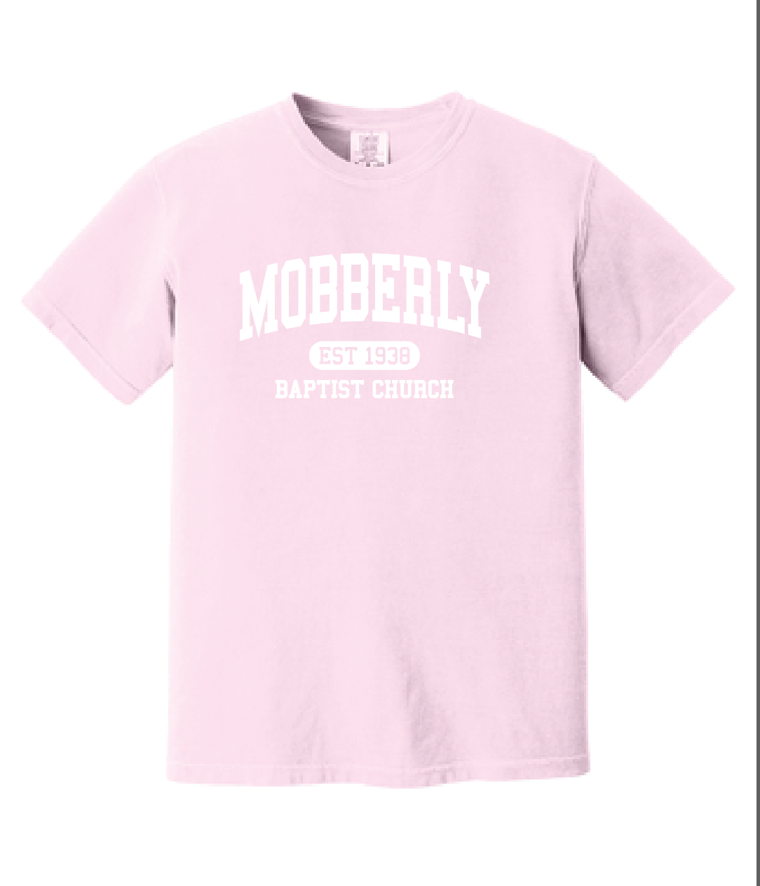 Comfort Colors® Heavyweight Ring Spun Tee - ADULT