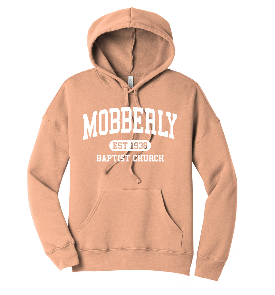 BELLA+CANVAS Unisex Sponge Fleece Pullover DTM Hoodie