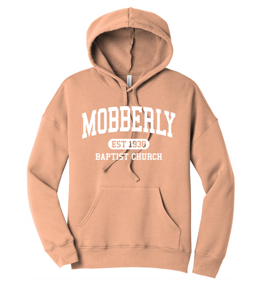 BELLA+CANVAS Unisex Sponge Fleece Pullover DTM Hoodie