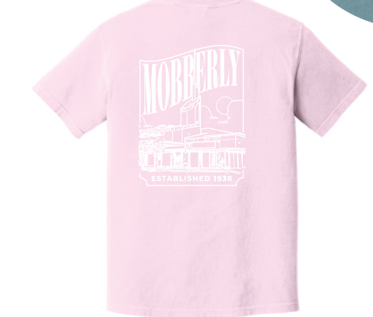Comfort Colors® Heavyweight Ring Spun Tee - ADULT
