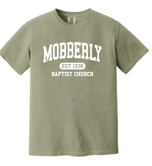 Comfort Colors® Heavyweight Ring Spun Tee - ADULT